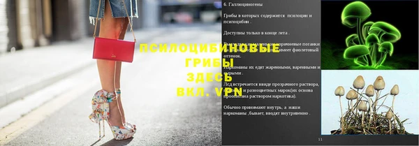 ALPHA-PVP Баксан