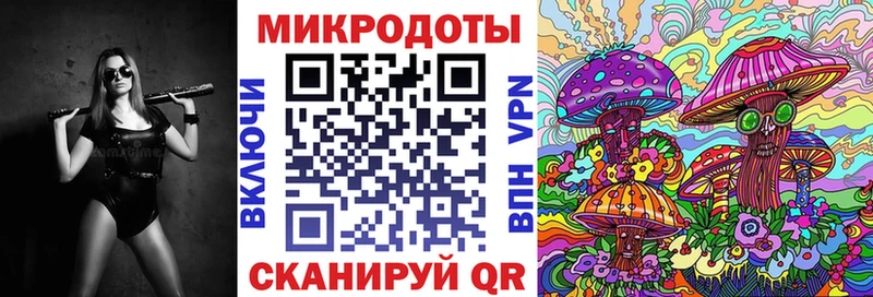 купить наркотик  мега зеркало  Галлюциногенные грибы Psilocybine cubensis  Конаково 